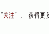 德国轴承和国产轴承真的差那么多吗？看了网友的分享，颠覆了固化思维