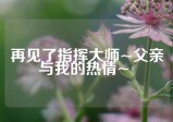 再见了指挥大师~父亲与我的热情~ 