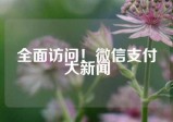 全面访问！微信支付大新闻