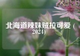 北海道辣妹贼拉可爱 (2024) 