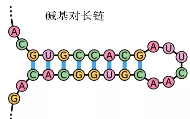 地球生命演化的惊天之谜  第5张