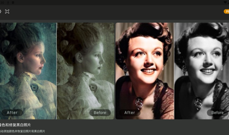 Colorizer Ver.3.0.2 老照修复AI增强Pro解锁版  第1张