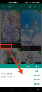 LSP专用二次元界壁纸神器 民萌 Pixiv6.90.0_壁纸神器APP  第4张