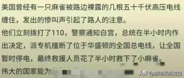 那些年我们都知道在乎林撒谎，我们曾深信不疑。  第16张