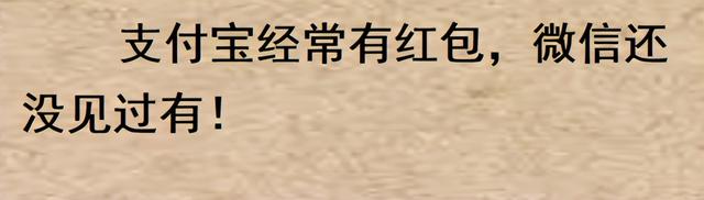 您习惯使用支付宝还是微信支付？网民们的回答出奇的一致！  第9张