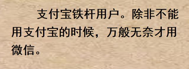 您习惯使用支付宝还是微信支付？网民们的回答出奇的一致！  第13张