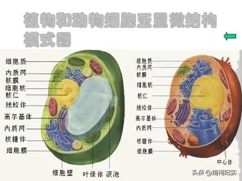 曾被吹上天，如今却“沦为笑柄”的三种家电，还有人在乱跟风吗？  第10张