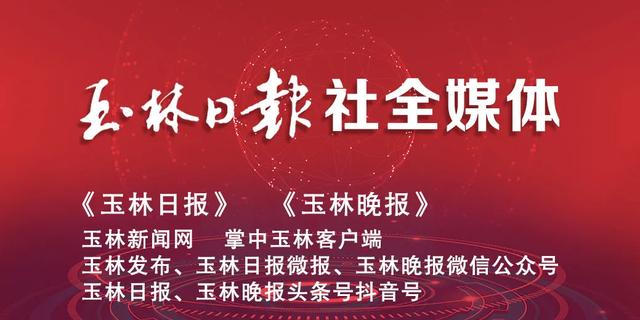 2.9公里隧道双幅贯通！这条广西高速公路将于年底通车  第5张