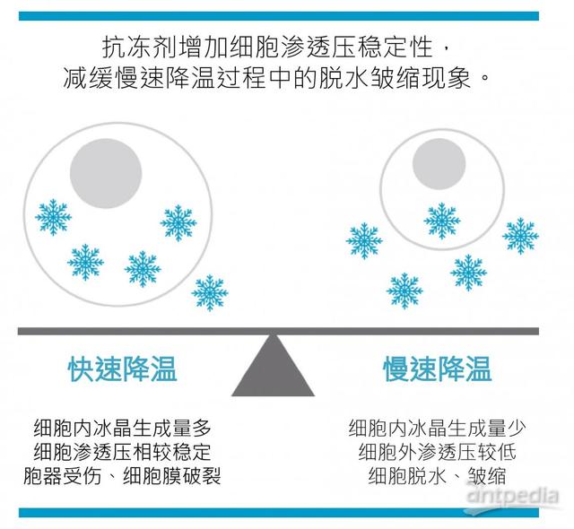 中国科学家突破人体冷冻技术! 冷冻人复活在望: 冷冻第一人何时醒?  第6张