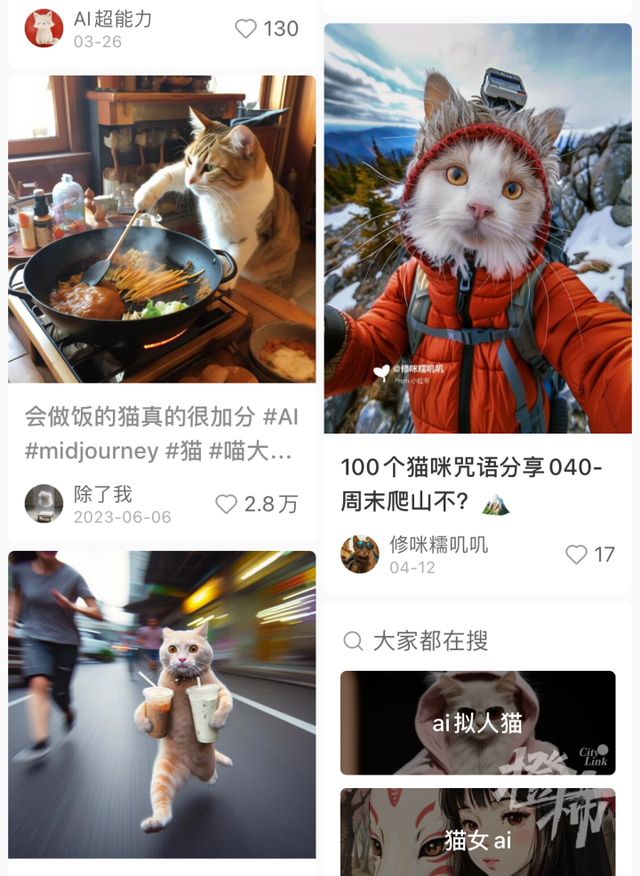 00后接管官方账号后发了它爆炸！突然间，整个网络都在发小猫的视频？  第8张