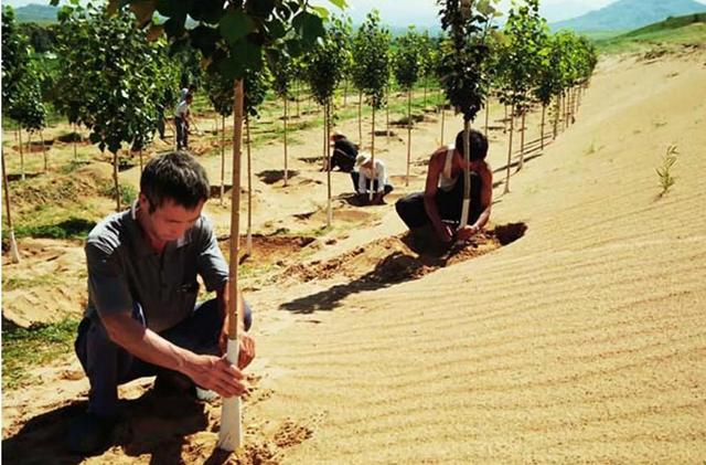 中国“吞沙巨兽”震惊登场！甘肃已经见证了每天吞下40亩沙漠的奇迹！  第11张