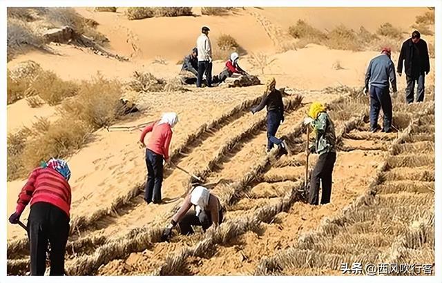 相当于20个三峡大坝，外媒突然发现，中国在沙漠中悄悄地做了一件大事。  第5张