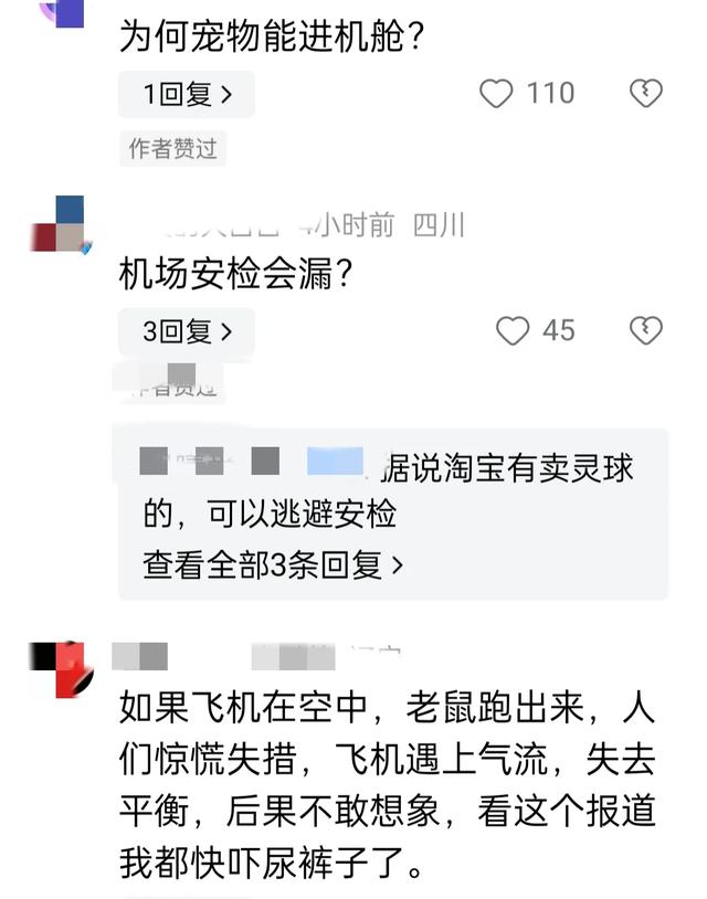 惊爆 机场安检漏洞引发航班延误，宠物仓鼠成“逃犯”  第3张