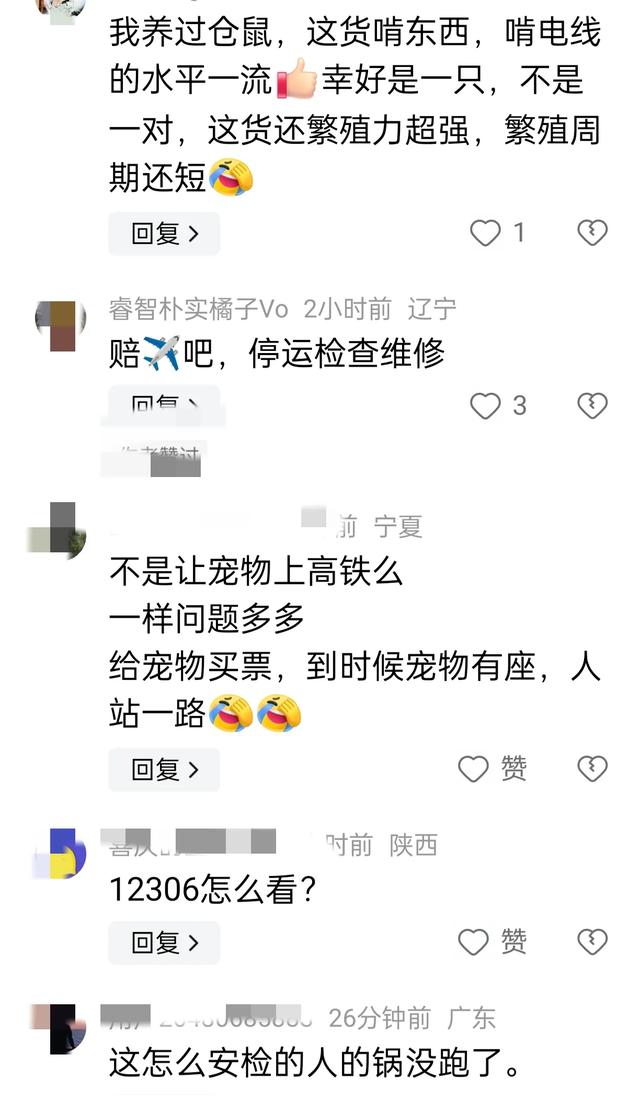 惊爆 机场安检漏洞引发航班延误，宠物仓鼠成“逃犯”  第4张