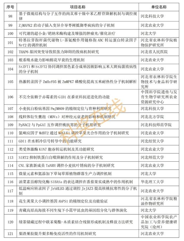 优青杰青60个项目，共1169个项目！河北省自然科学基金公示项目  第11张