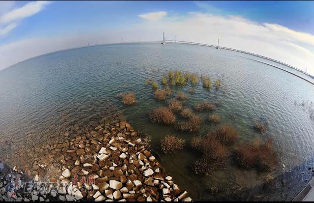 中国最大江心水库青草沙，留住入海浪费的淡水，满足1300万人需求  第10张