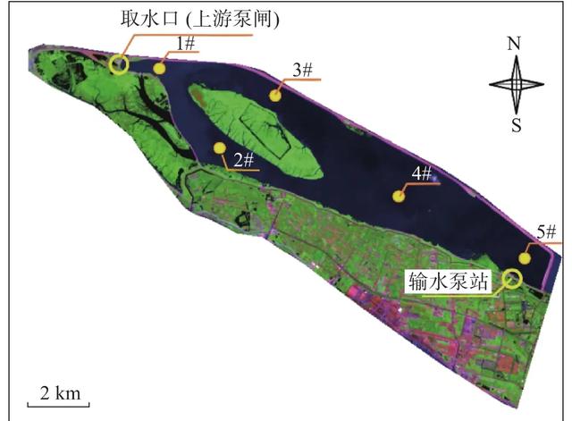 中国最大江心水库青草沙，留住入海浪费的淡水，满足1300万人需求  第9张