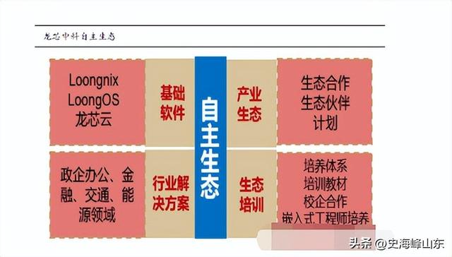 谁是中国的“英伟达”？  第4张