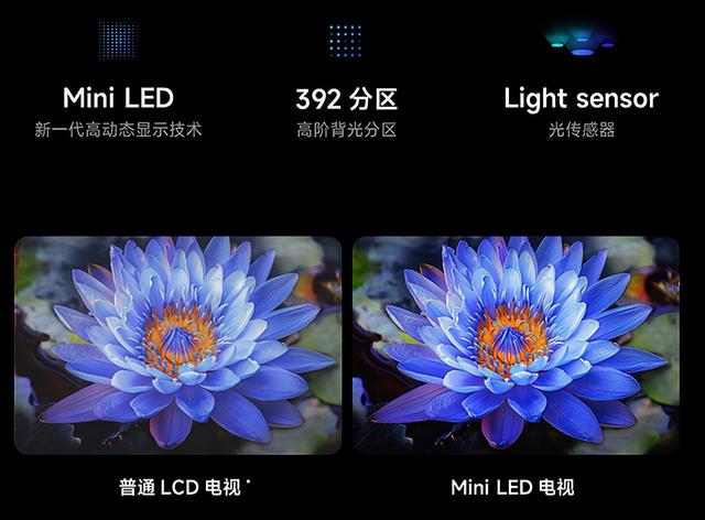 入门级Mini，雷鸟电视，小米电视，海信电视。 哪个LED强？  第12张