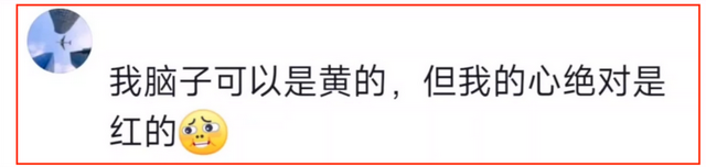 外网拼命宣传反动，中国人翻墙只是为了看黄骂外国人，笑死在评论区。  第2张