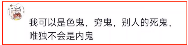 外网拼命宣传反动，中国人翻墙只是为了看黄骂外国人，笑死在评论区。  第10张