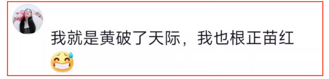 外网拼命宣传反动，中国人翻墙只是为了看黄骂外国人，笑死在评论区。  第11张