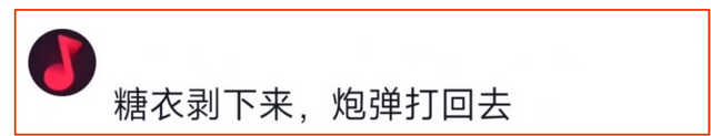 外网拼命宣传反动，中国人翻墙只是为了看黄骂外国人，笑死在评论区。  第15张