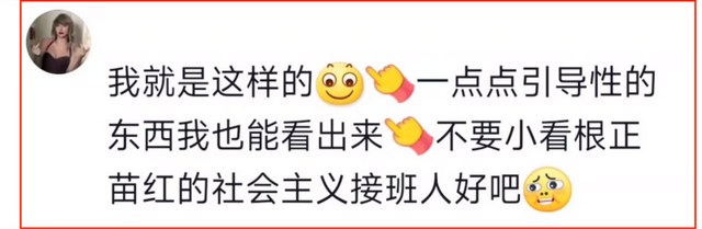 外网拼命宣传反动，中国人翻墙只是为了看黄骂外国人，笑死在评论区。  第18张