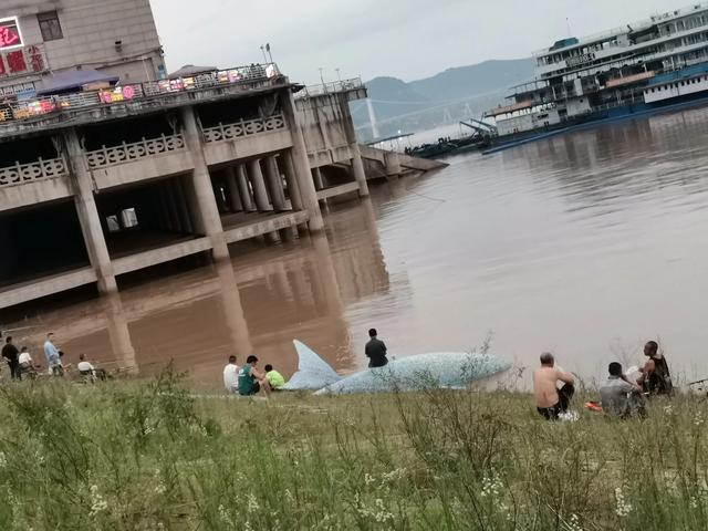 三峡水库历史性大泄洪  第9张