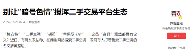 二手平台“隐晦”服务爆火，万物皆可明码标价，外行人根本看不懂  第22张