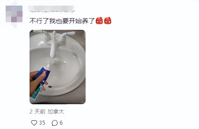 妇女把牙膏当宠物养！网民：果然，祖先有智慧…  第12张