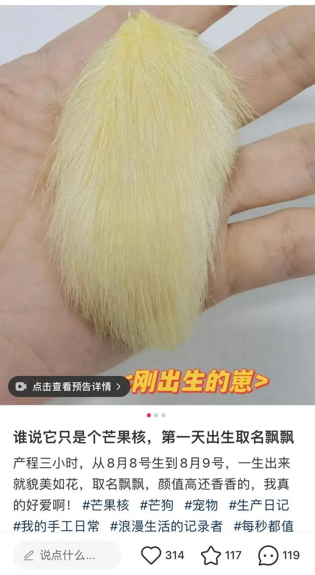 妇女把牙膏当宠物养！网民：果然，祖先有智慧…  第11张