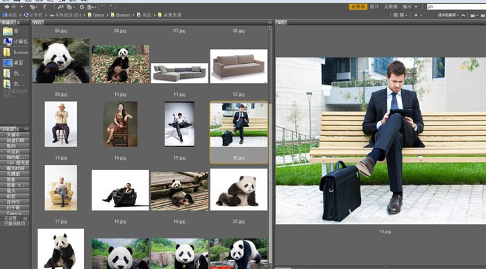 Photoshop合成密林中看报的熊猫人图片设计教程  第3张