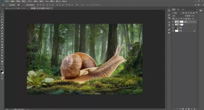 Photoshop制作梦幻森林里的童年蜗牛骑士图片合成教程  第7张