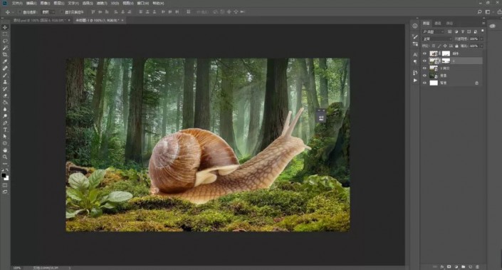 Photoshop制作梦幻森林里的童年蜗牛骑士图片合成教程  第8张