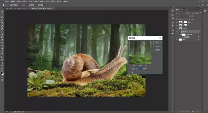 Photoshop制作梦幻森林里的童年蜗牛骑士图片合成教程  第9张