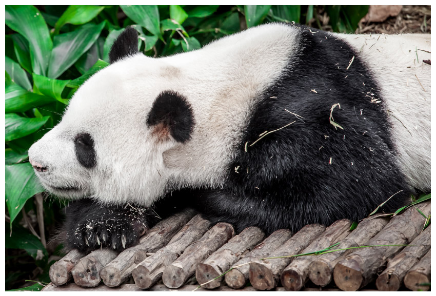 使用Photoshop合成创意的小女孩儿与大熊猫亲和场景图片 第7张 使用Photoshop合成创意的小女孩儿与大熊猫亲和场景图片 第7张