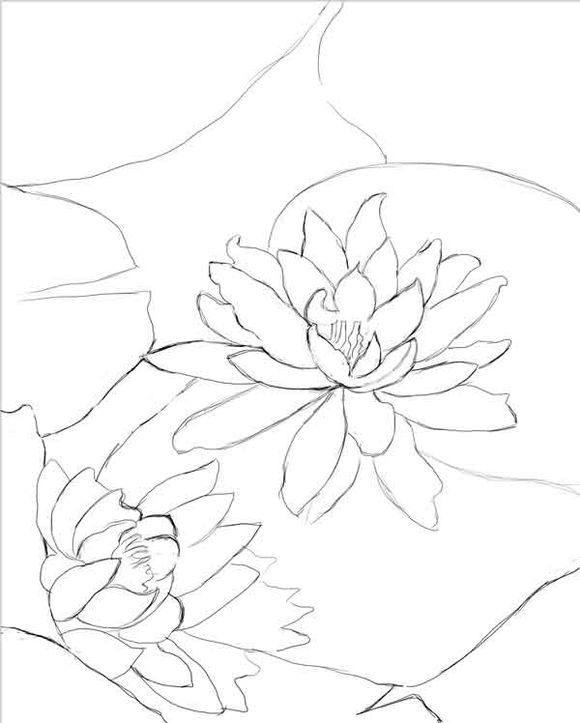 Painter使用仿真水彩进行湿笔绘画睡莲实例教程 第7张 Painter使用仿真水彩进行湿笔绘画睡莲实例教程 第7张