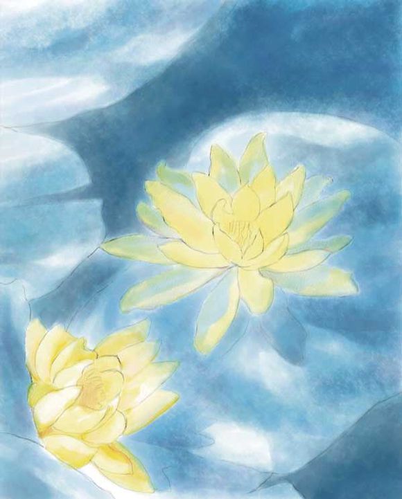Painter使用仿真水彩进行湿笔绘画睡莲实例教程 第11张 Painter使用仿真水彩进行湿笔绘画睡莲实例教程 第11张