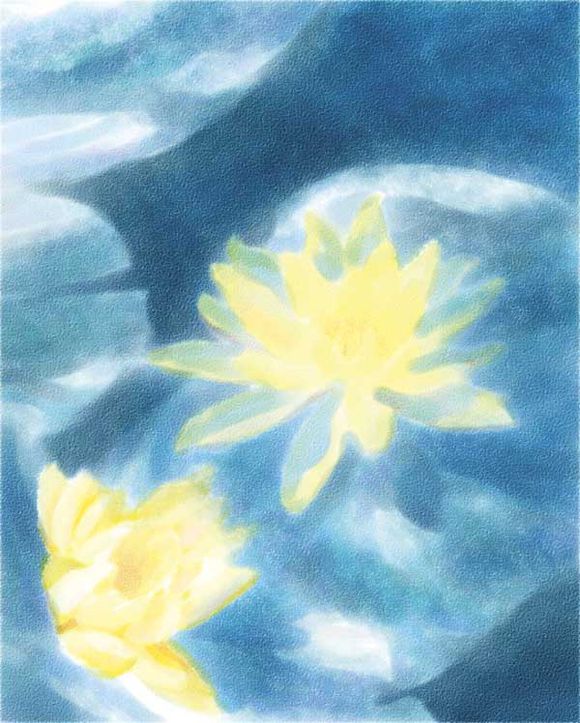 Painter使用仿真水彩进行湿笔绘画睡莲实例教程 第12张 Painter使用仿真水彩进行湿笔绘画睡莲实例教程 第12张