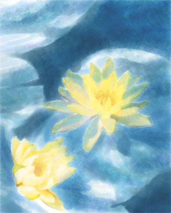 Painter使用仿真水彩进行湿笔绘画睡莲实例教程 第14张 Painter使用仿真水彩进行湿笔绘画睡莲实例教程 第14张