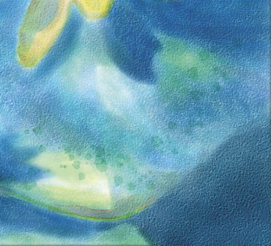 Painter使用仿真水彩进行湿笔绘画睡莲实例教程 第15张 Painter使用仿真水彩进行湿笔绘画睡莲实例教程 第15张