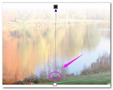 CorelDraw调整图片不透明度的方法教程 第5张 CorelDraw调整图片不透明度的方法教程 第5张