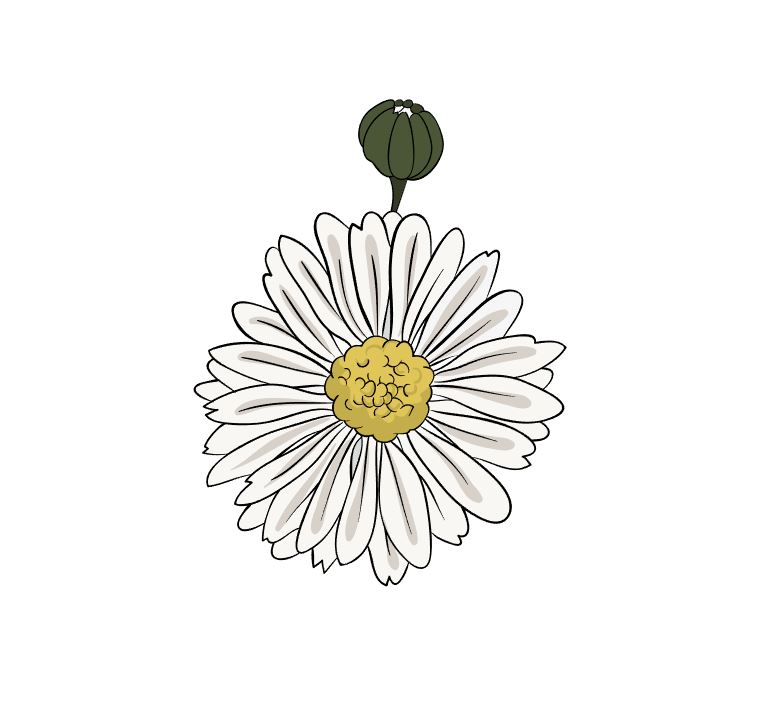 illustrator如何手绘菊花矢量素材?AI绘制小菊花插画技巧 第5张 illustrator如何手绘菊花矢量素材?AI绘制小菊花插画技巧 第5张