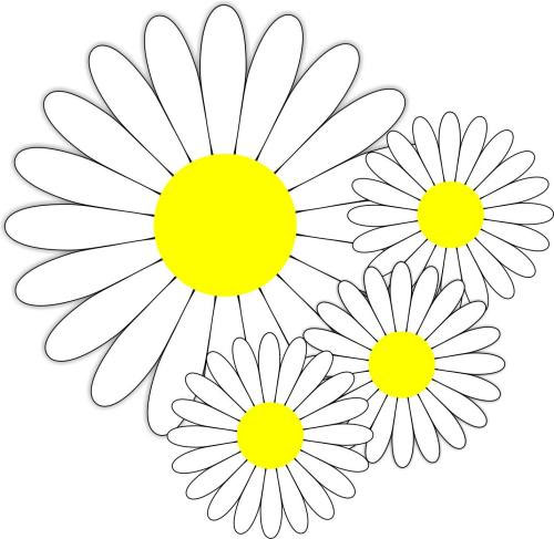 CorelDRAW X6钢笔工具绘制小雏菊的方法  第8张