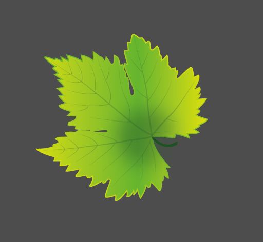 AI手绘葡萄叶、画树叶的技巧教程