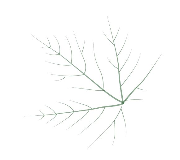 AI手绘葡萄叶、画树叶的技巧教程  第17张