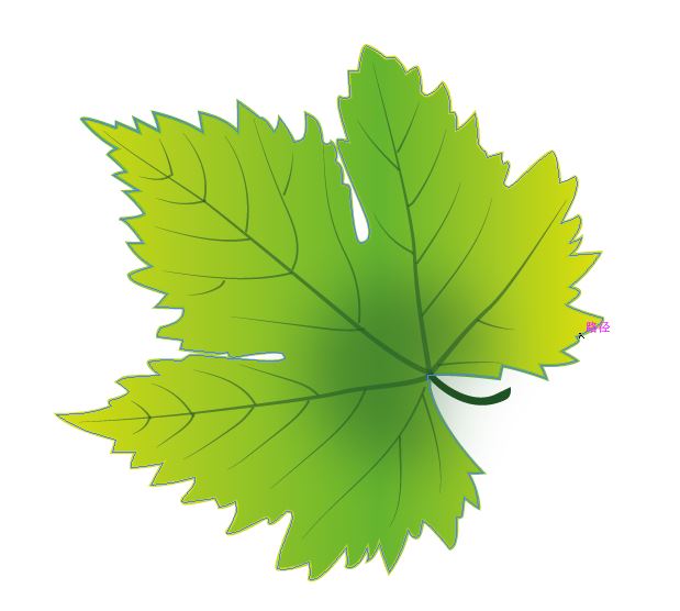 AI手绘葡萄叶、画树叶的技巧教程  第20张