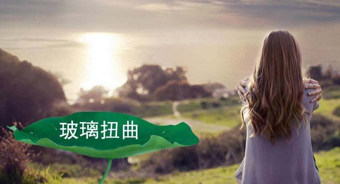 Painter给图片添加玻璃扭曲效果的方法教程