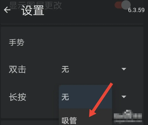 Painter新手入门教程：painter怎么设置长按画布调出吸管工具？  第2张